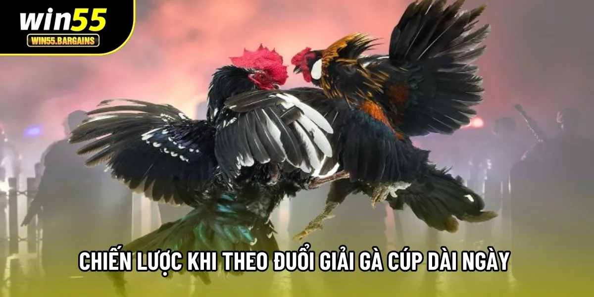 Chiến lược khi theo đuổi giải gà cúp dài ngày 