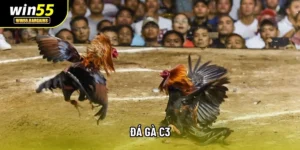 Đá Gà C3 - Đấu Trường Gà Cúp Khắc Nghiệt Tại Cổng Game