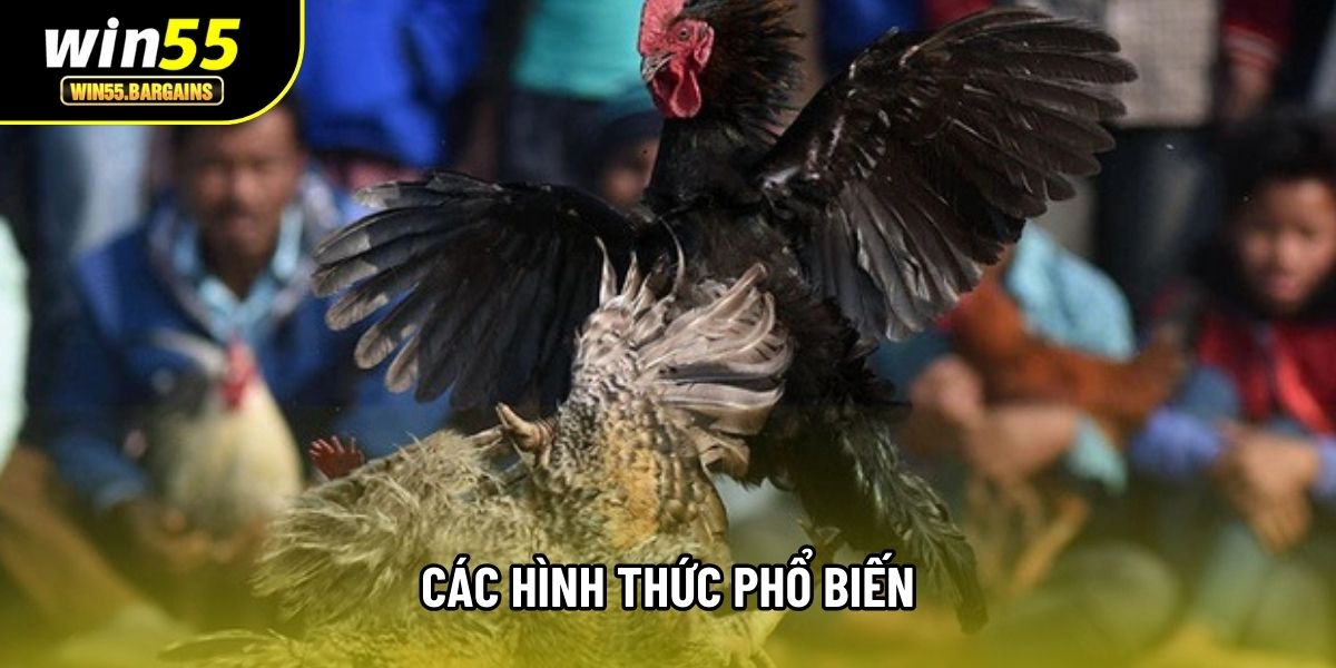 Các hình thức phổ biến