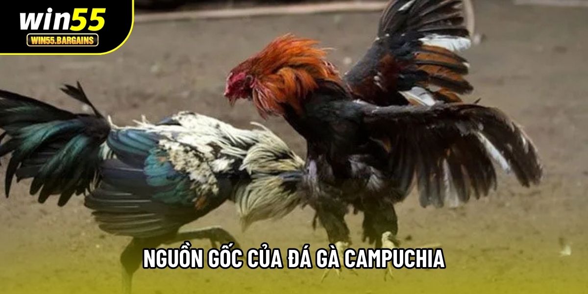 Nguồn gốc của Đá gà Campuchia