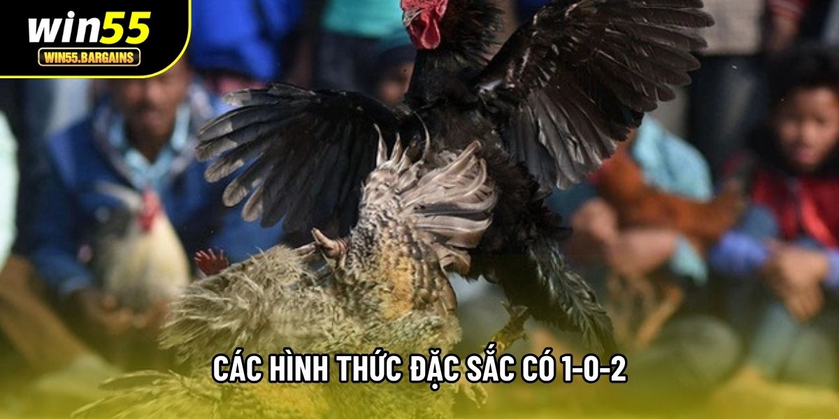 Các hình thức đặc sắc có 1-0-2