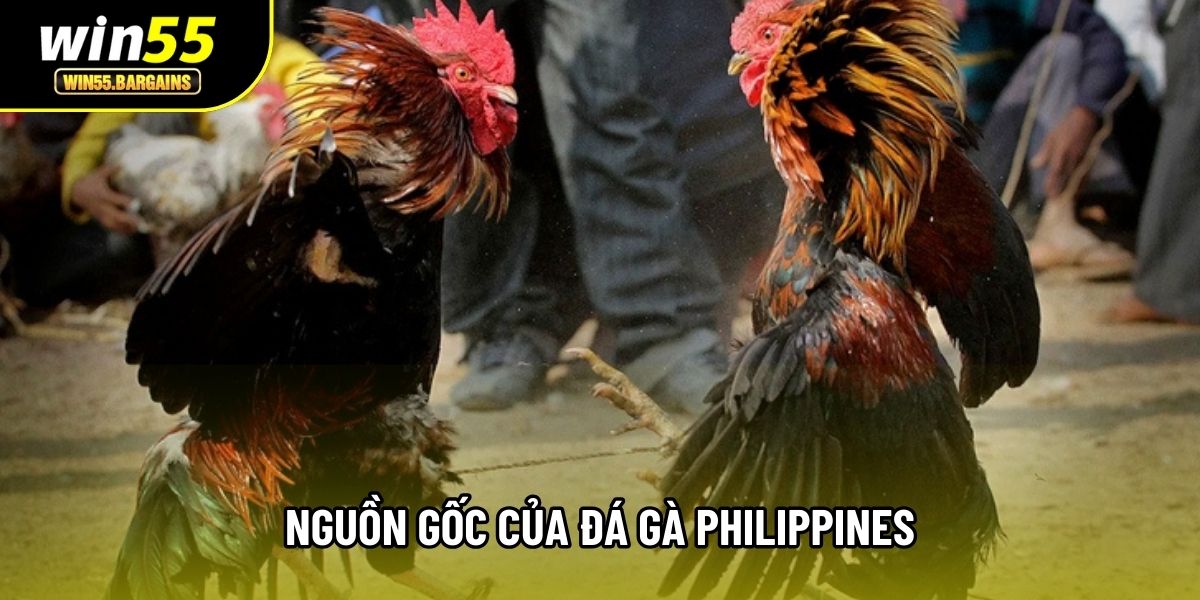 Nguồn gốc của Đá gà Philippines
