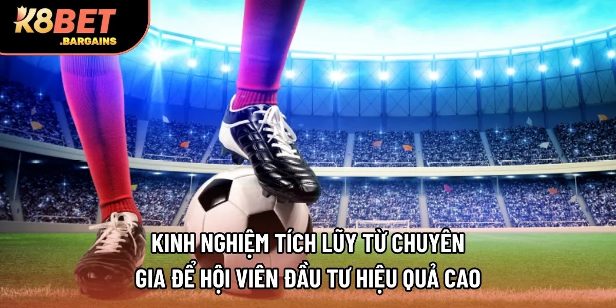 Kinh nghiệm tích lũy từ chuyên gia để hội viên đầu tư hiệu quả cao