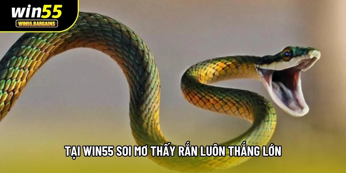 Tại Win55 soi mơ thấy rắn luôn thắng lớn