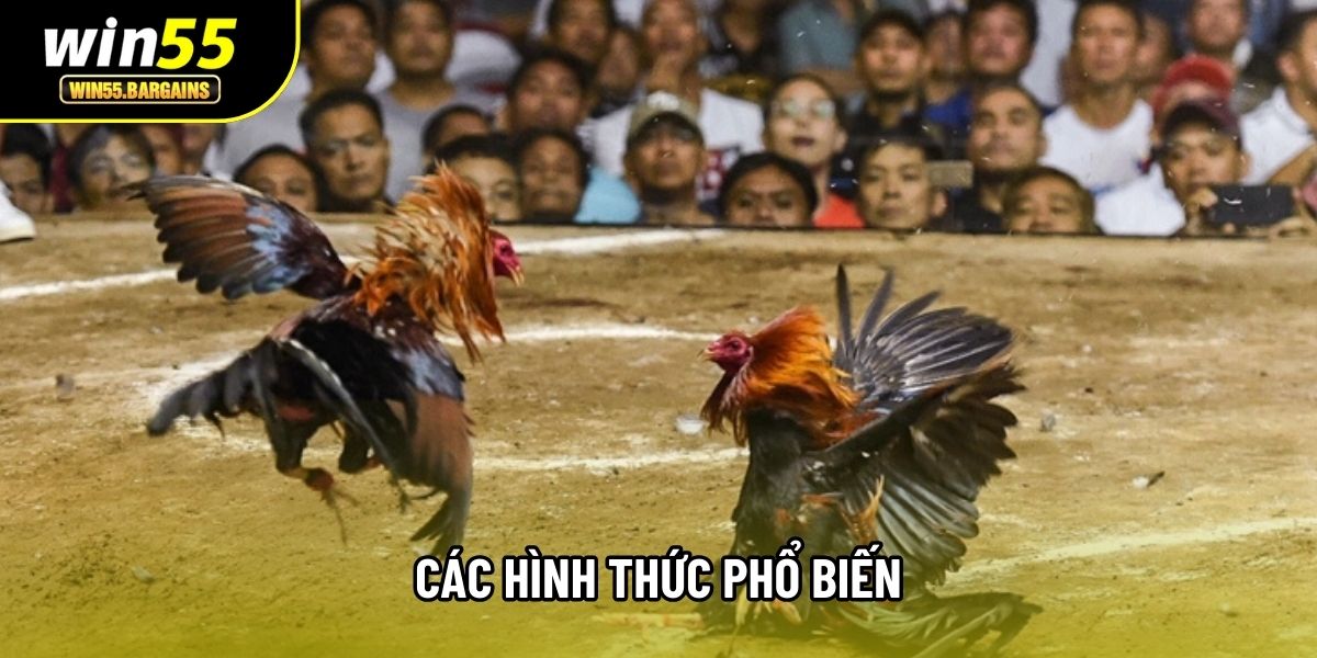 Các hình thức phổ biến