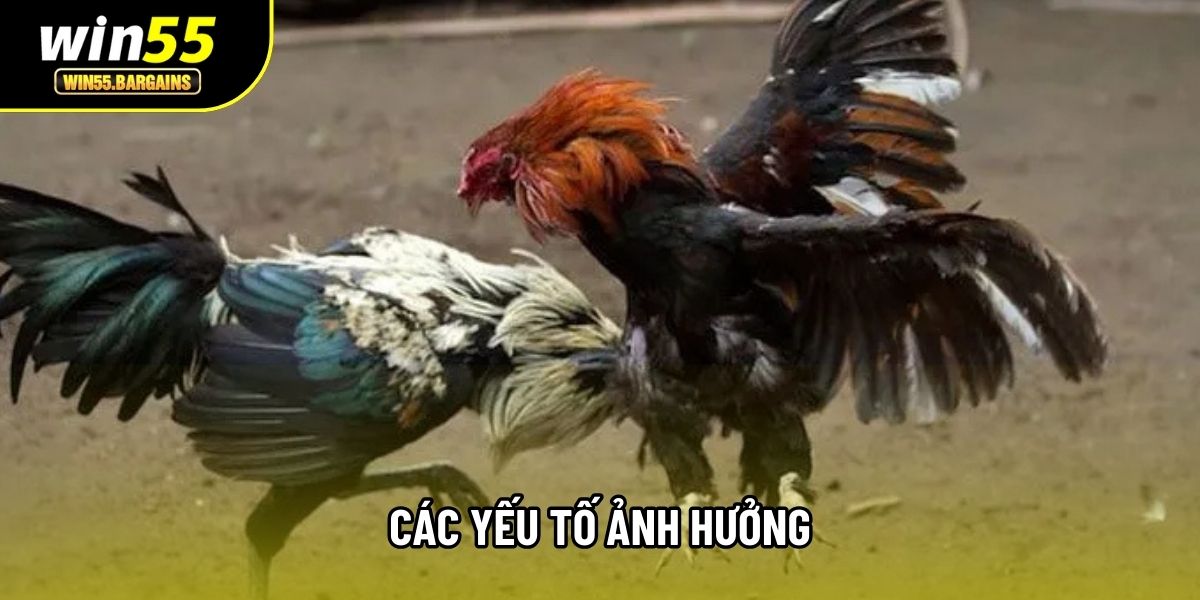 Các yếu tố ảnh hưởng
